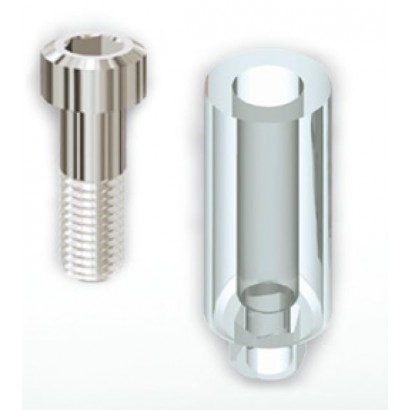 108AVB45 - PILIER CALCINABLE NON ROTATIF AVEC VIS EN TITANE POUR IMPLANT SCREW VENT Ø 4,5mm