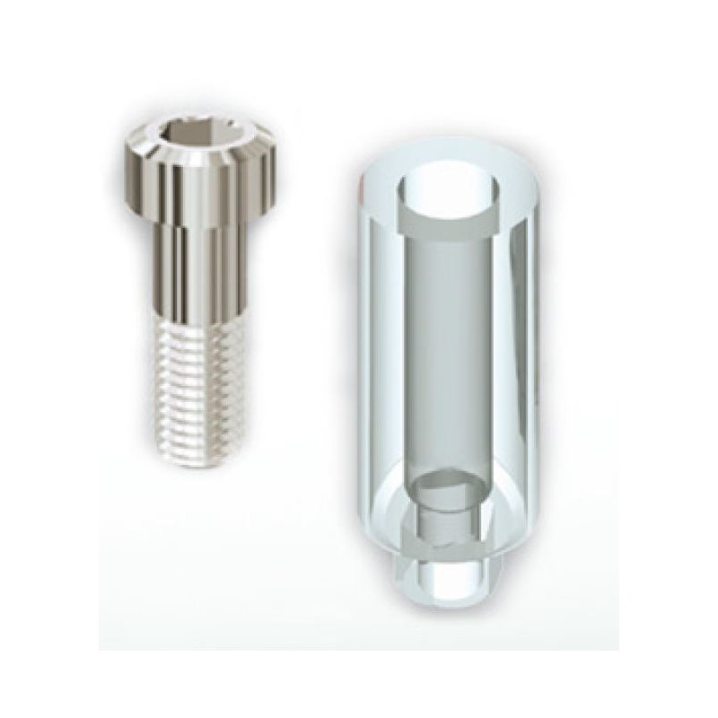 108AVB45 - PILIER CALCINABLE NON ROTATIF AVEC VIS EN TITANE POUR IMPLANT SCREW VENT Ø 4,5mm